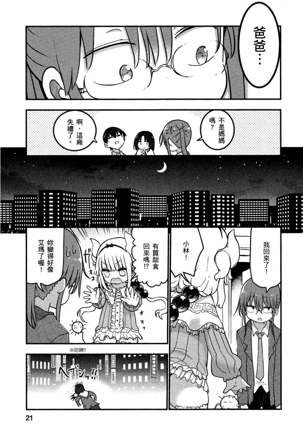 第 20 页
