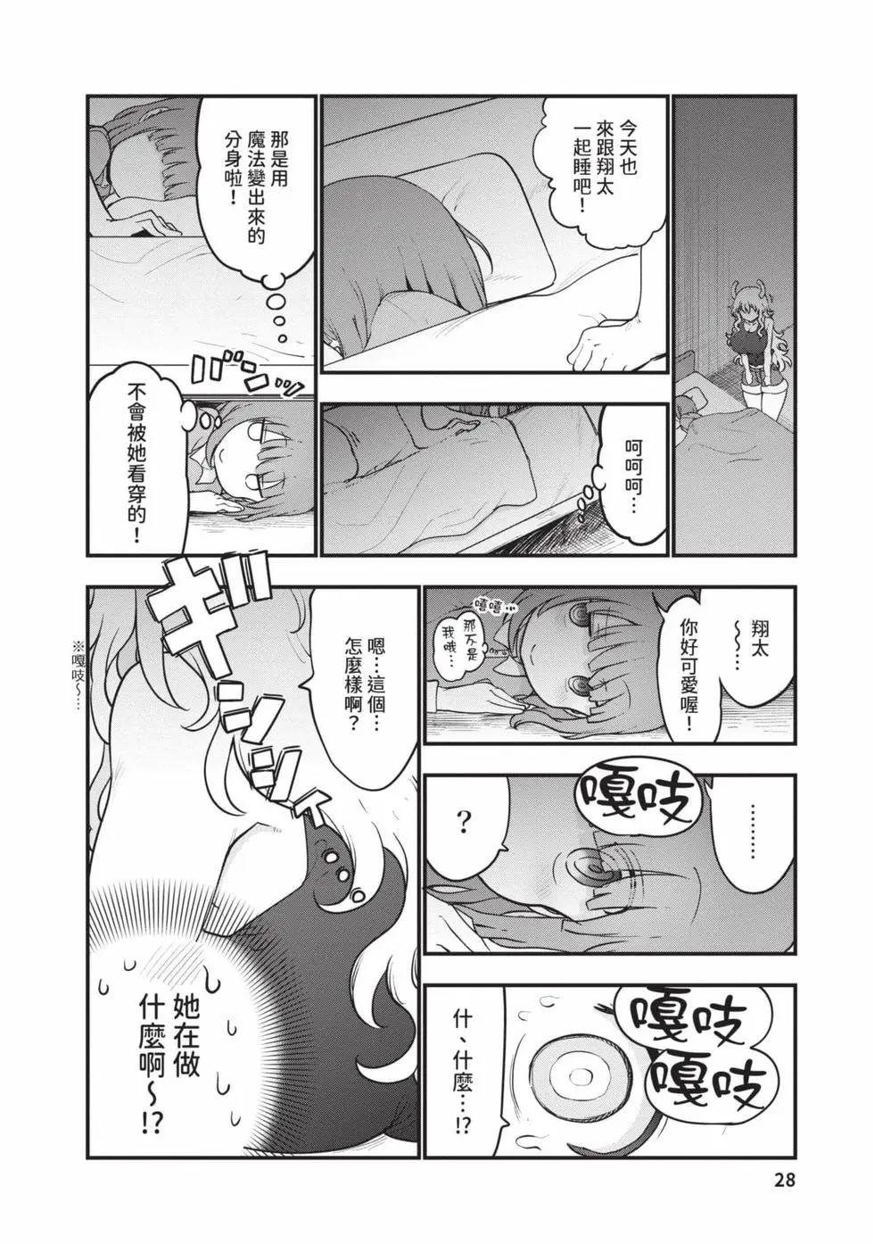 第 27 页