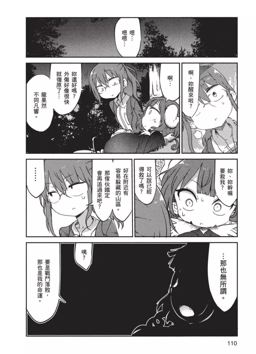 第 111 页