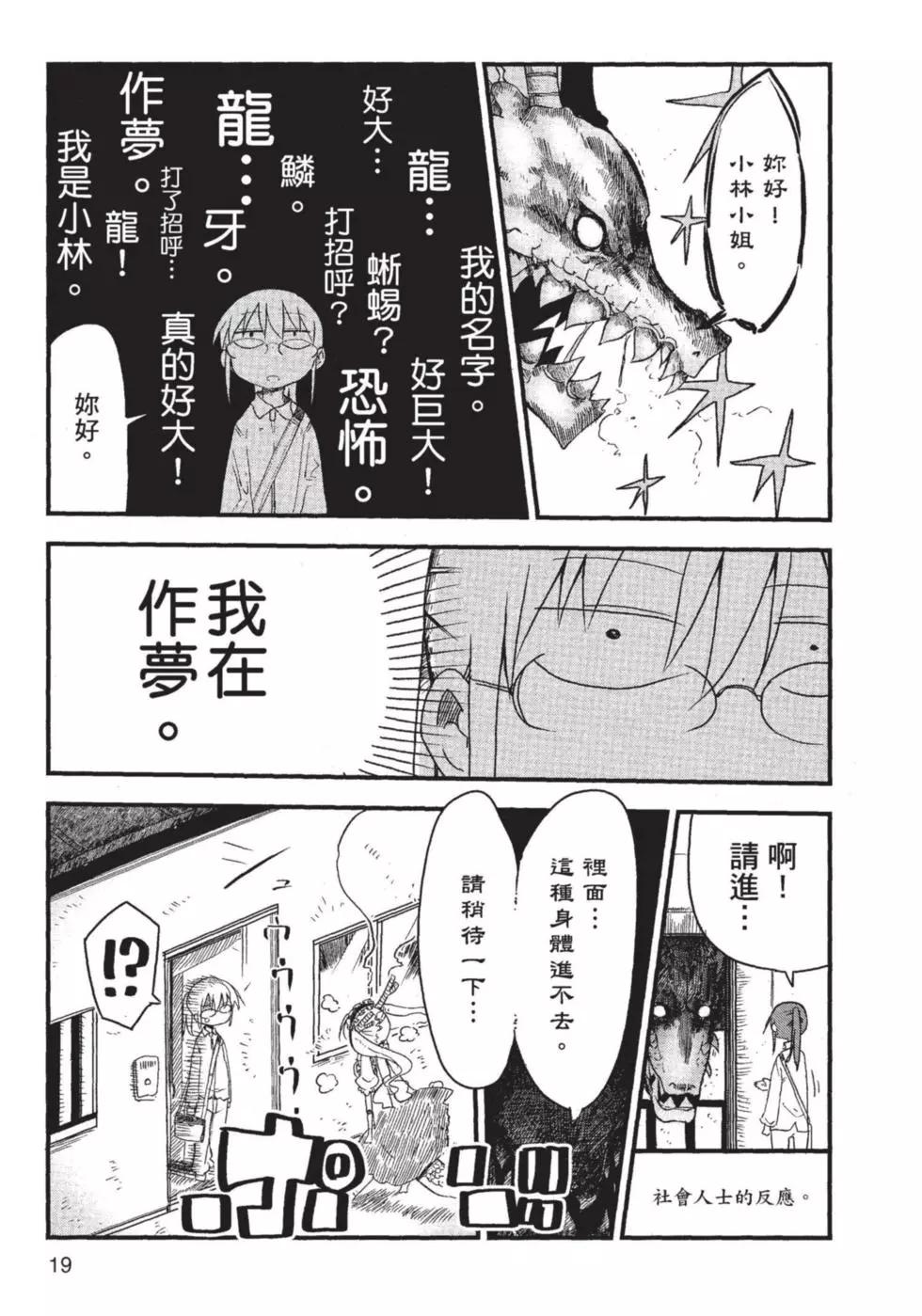 第 20 页