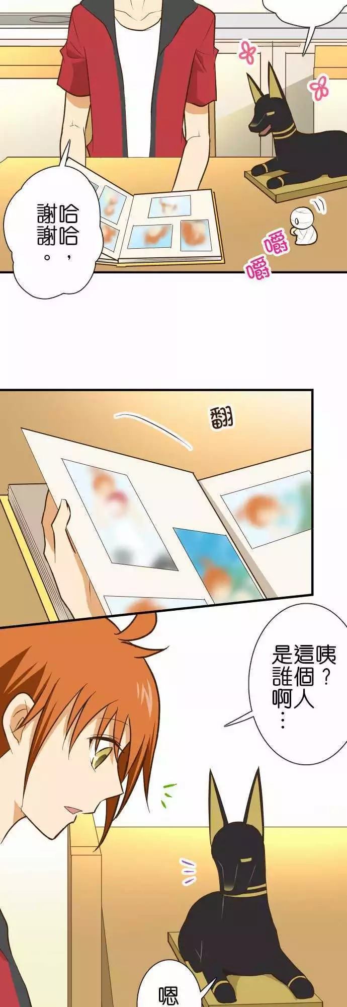 第 13 页