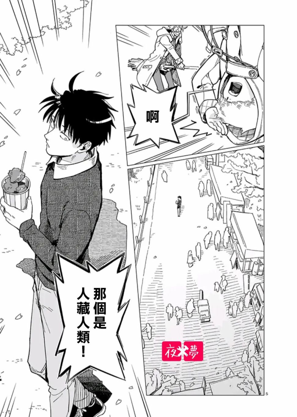 第 5 页