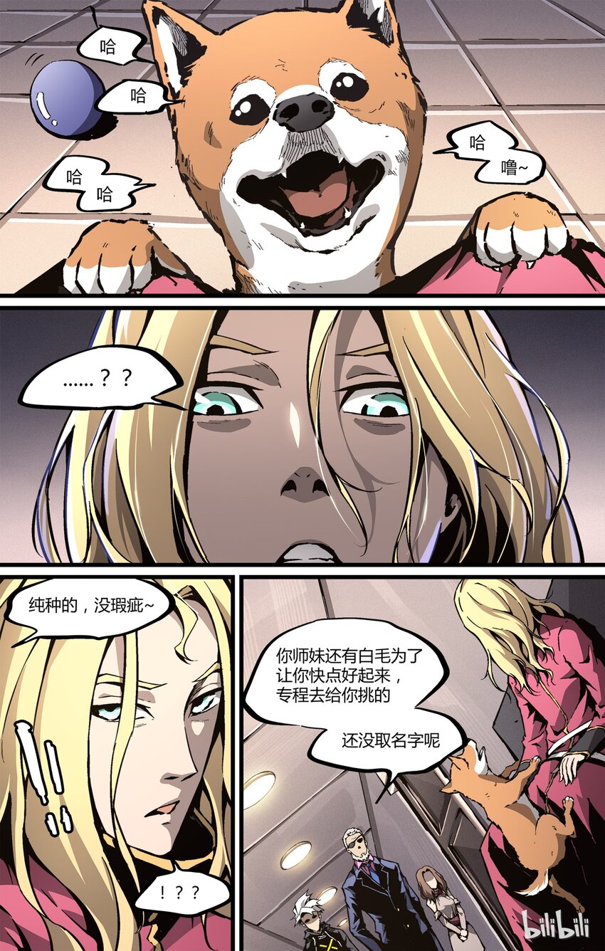 第 17 页
