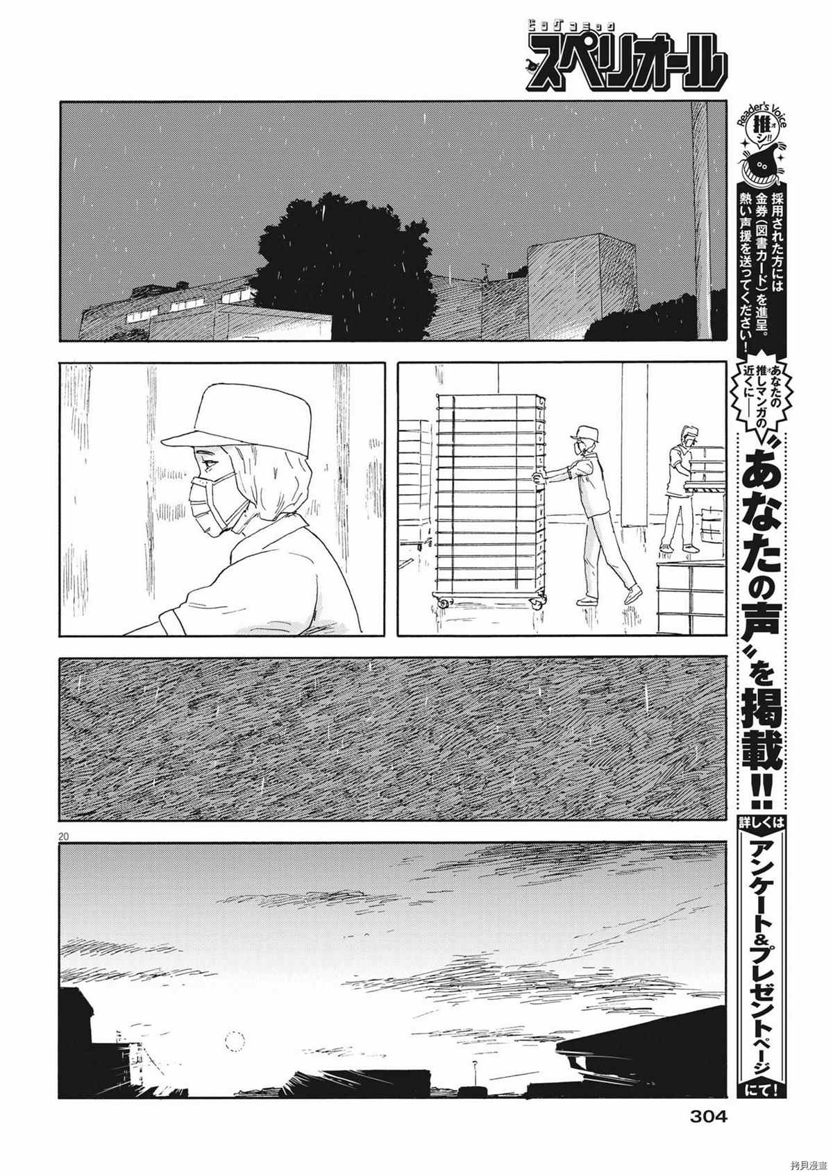 第 20 页