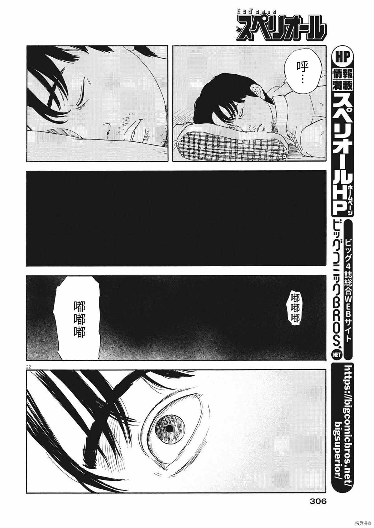 第 22 页