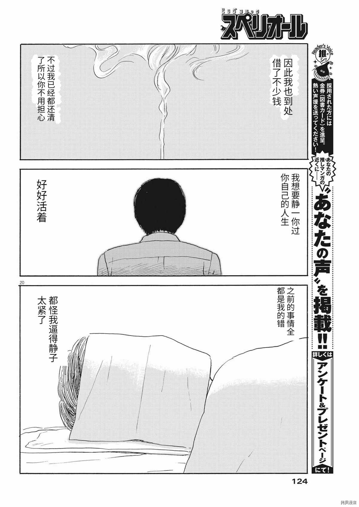 第 20 页