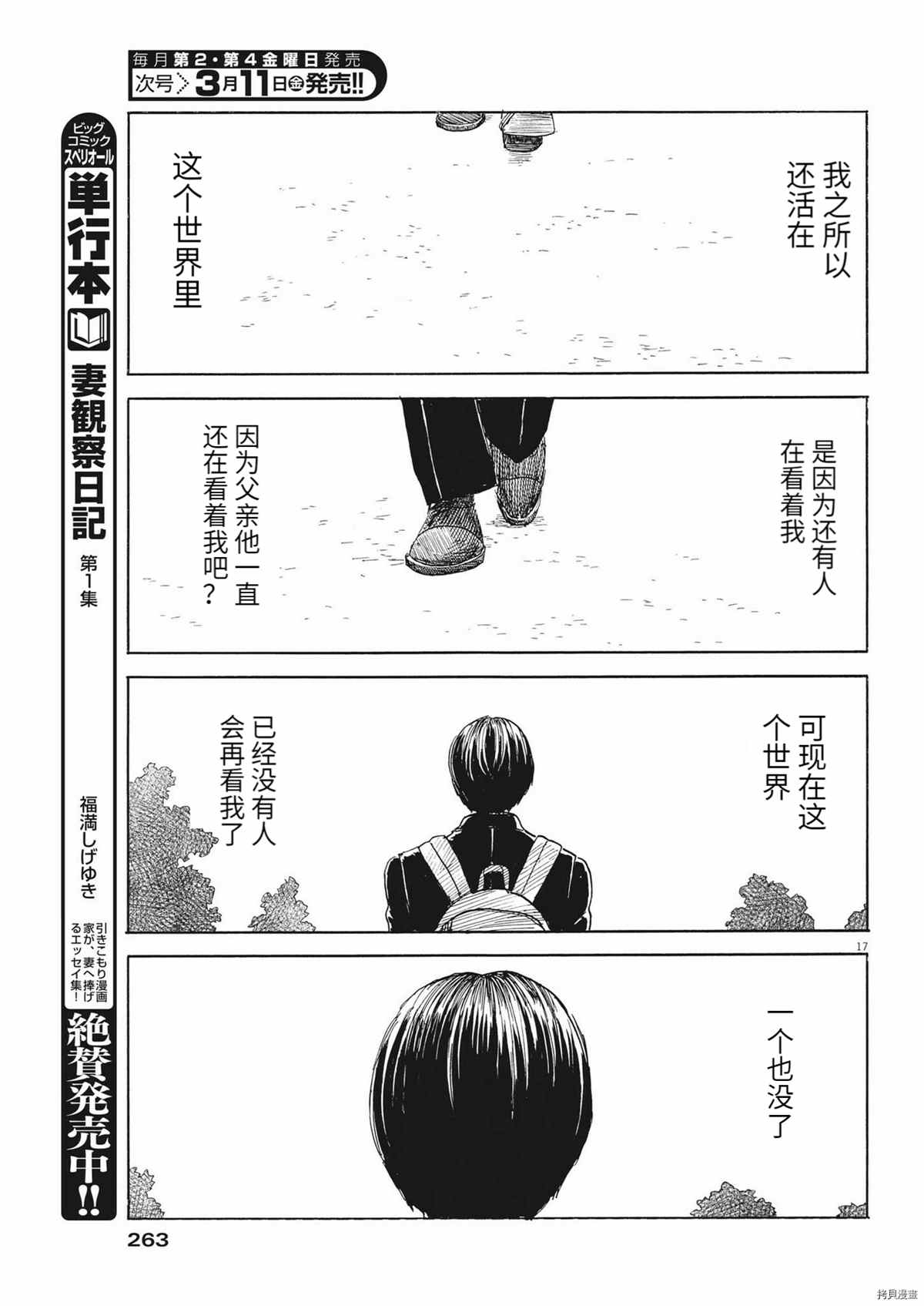 第 17 页