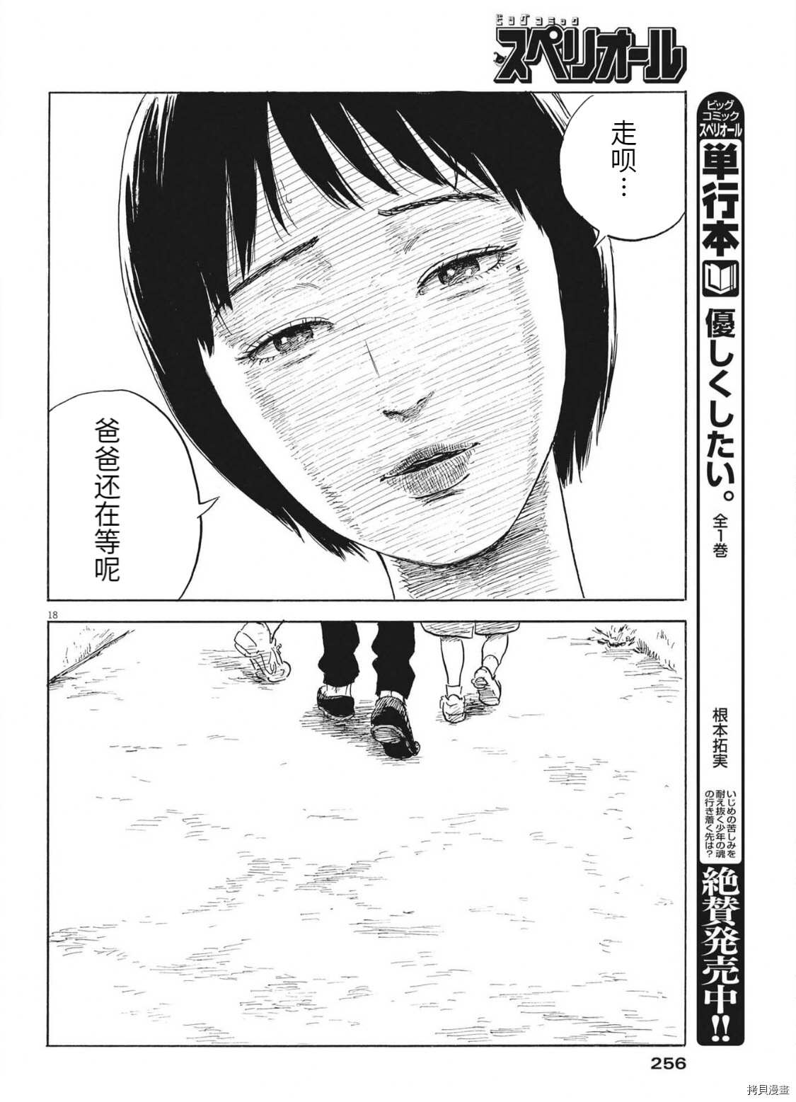 第 18 页