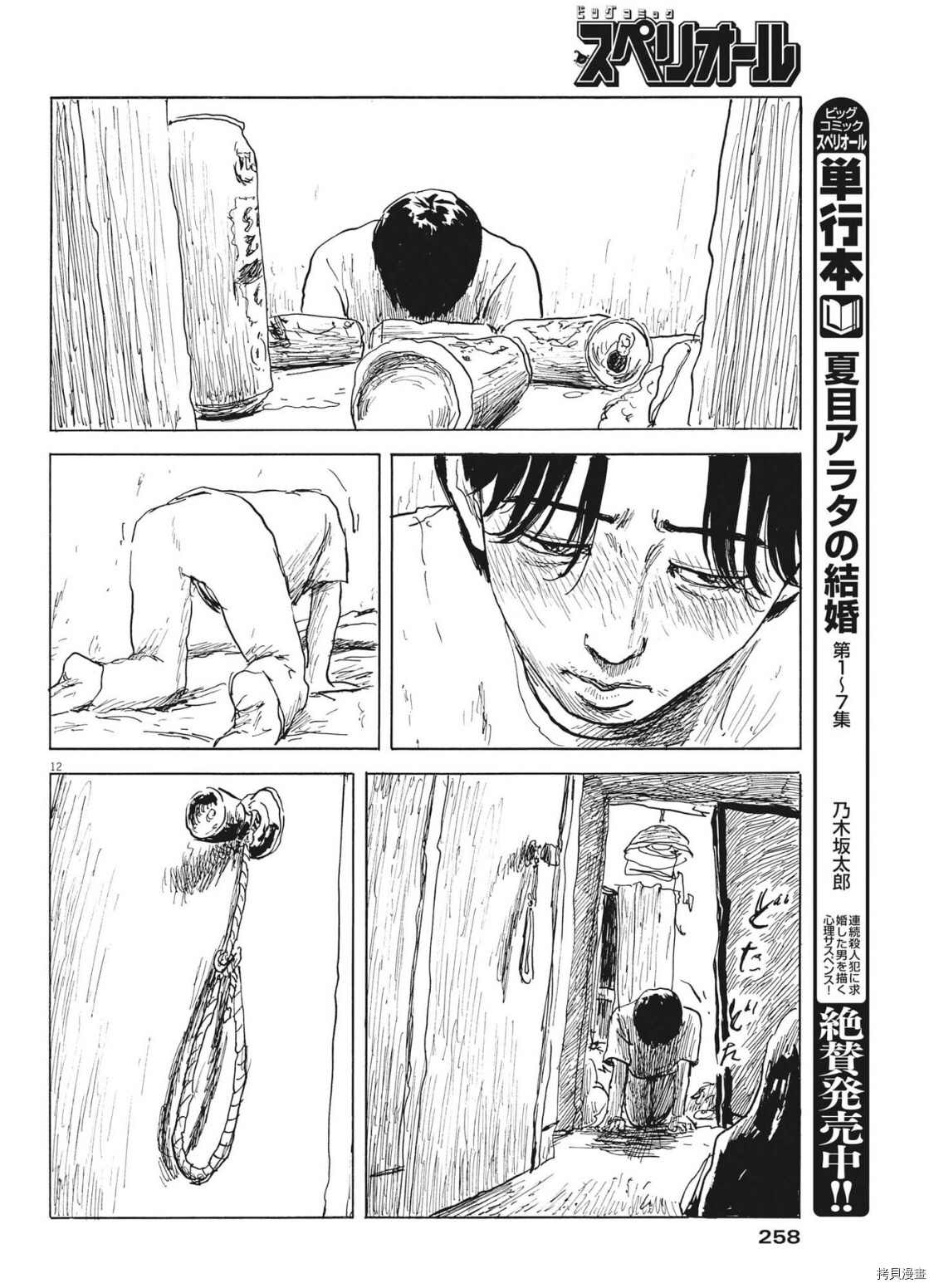 第 12 页