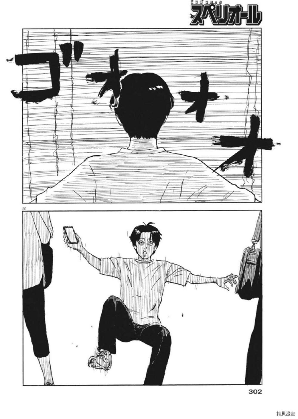 第 20 页