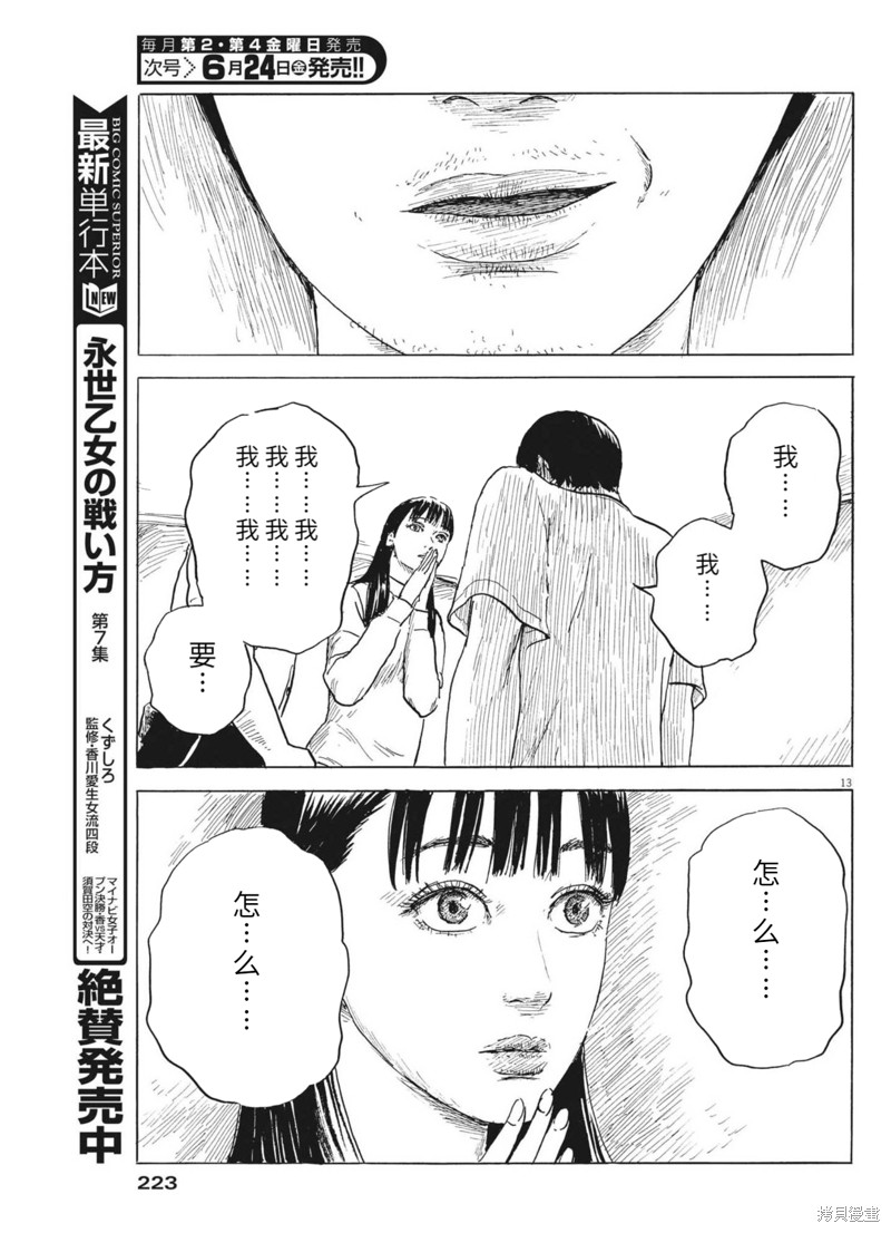第 13 页