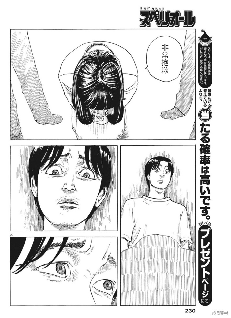 第 20 页