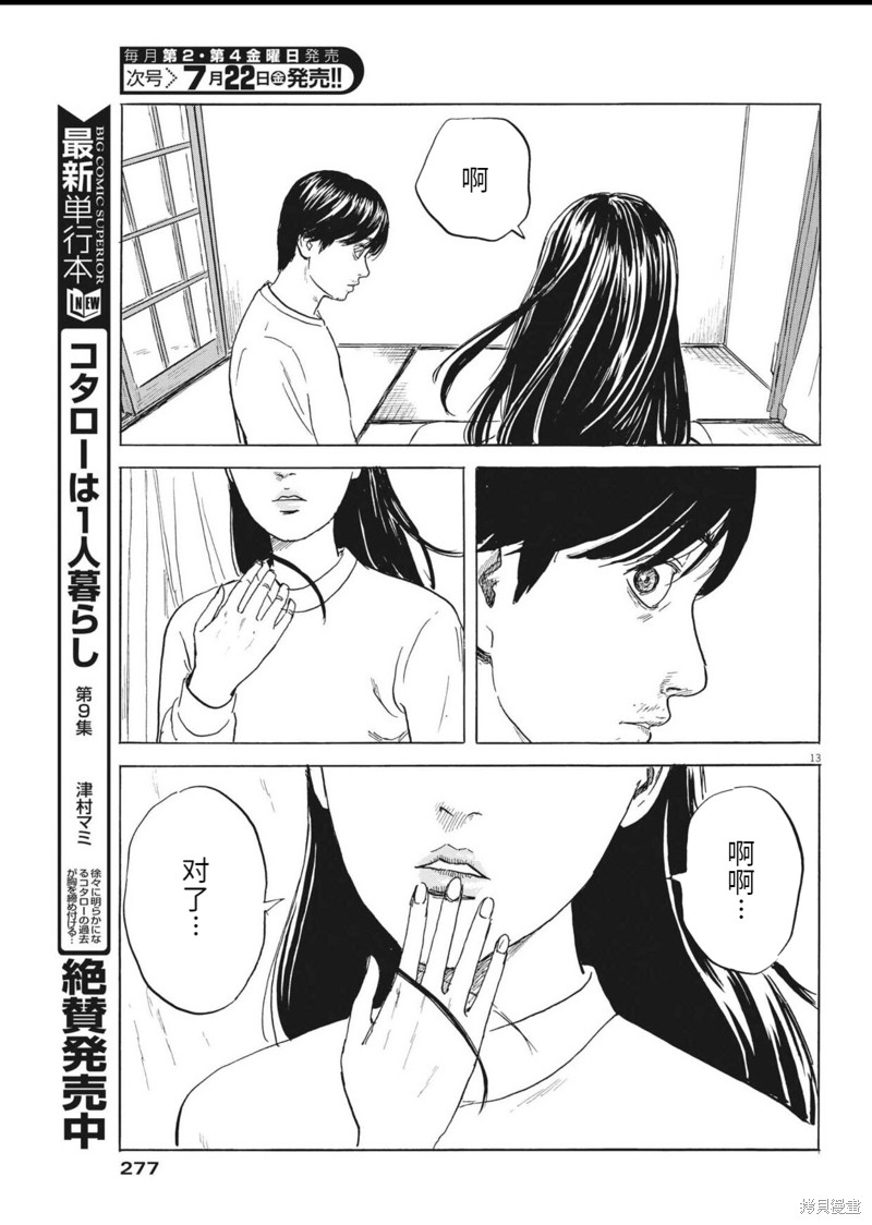 第 13 页