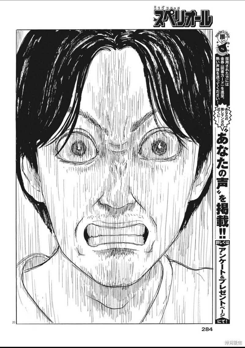 第 20 页