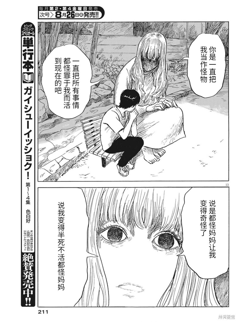 第 13 页