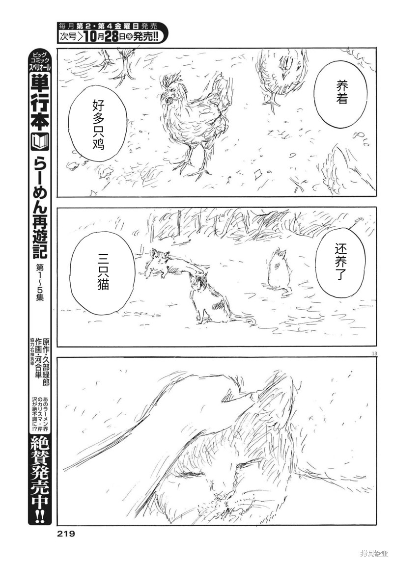 第 13 页