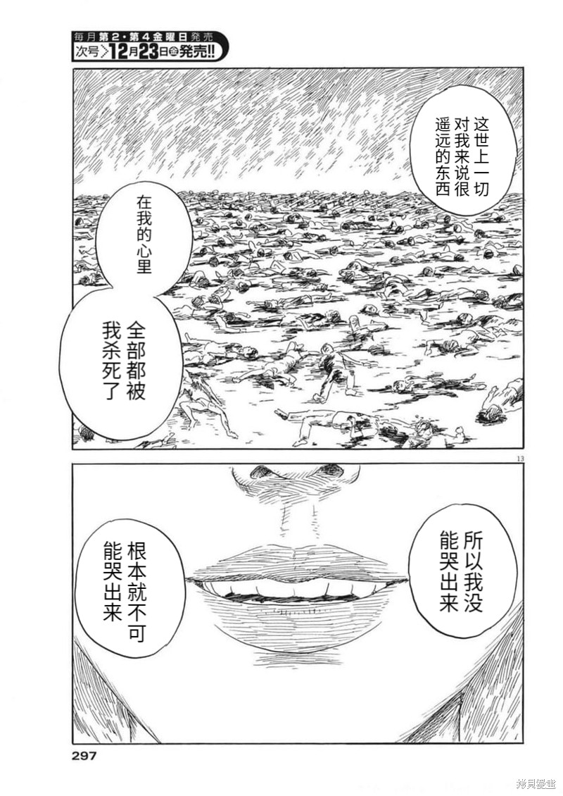 第 13 页