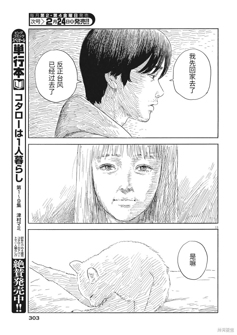 第 13 页