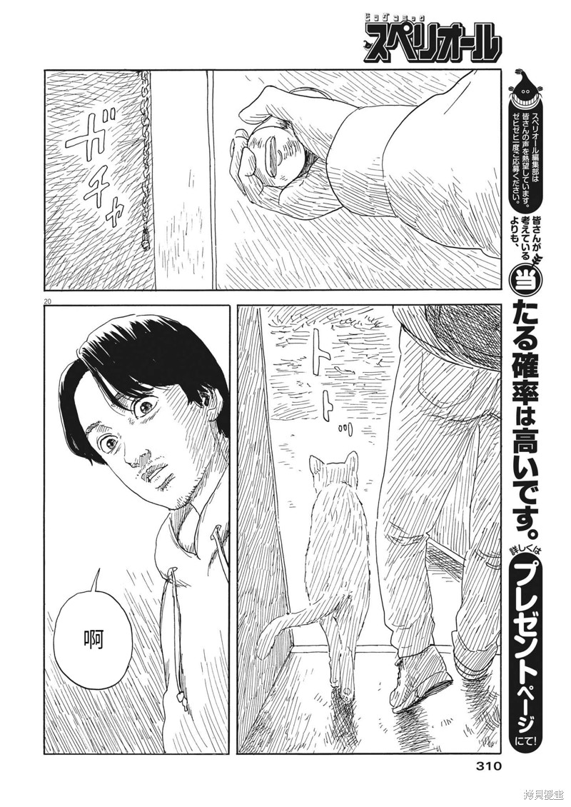 第 20 页