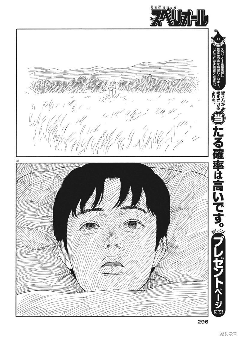 第 20 页