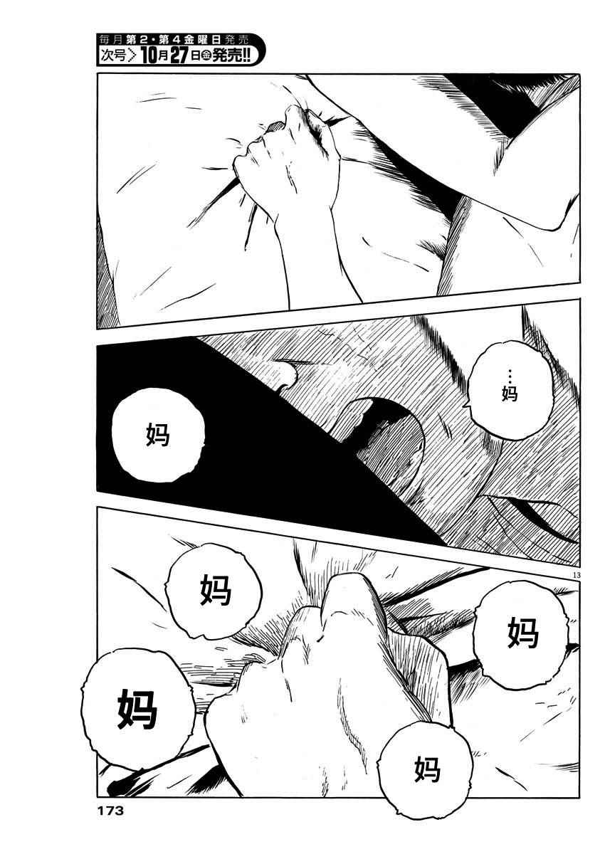 第 13 页