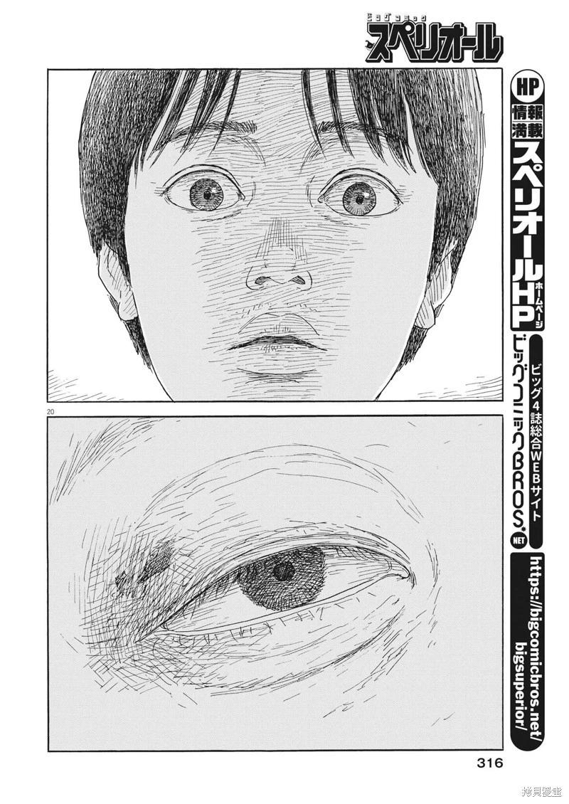 第 20 页