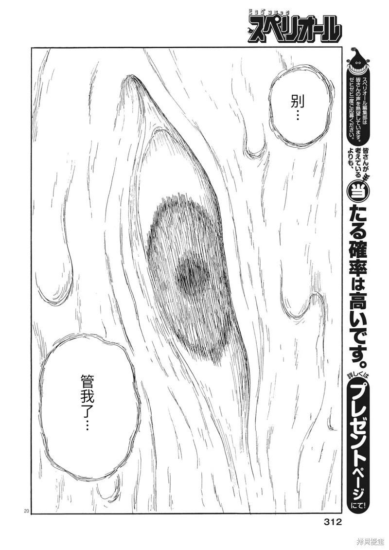 第 20 页