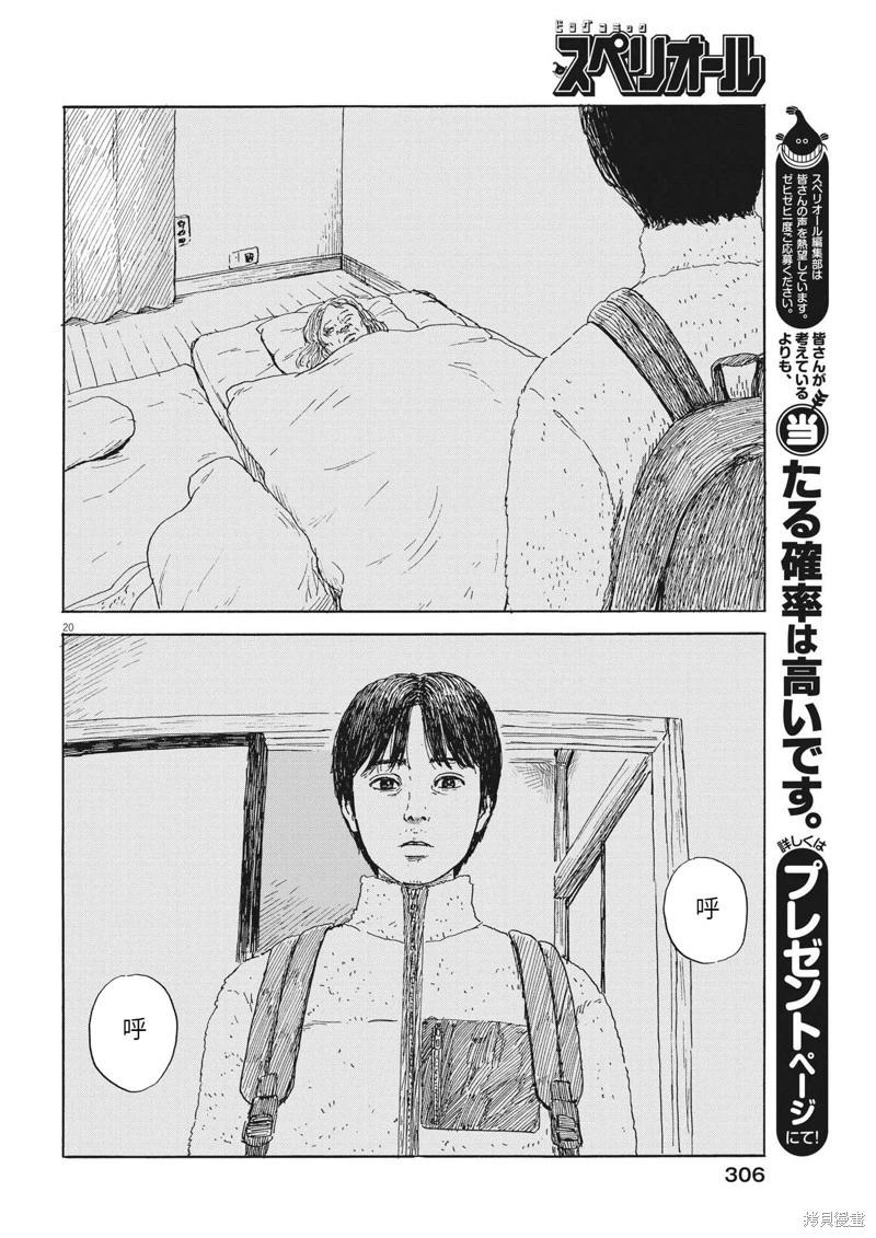 第 20 页