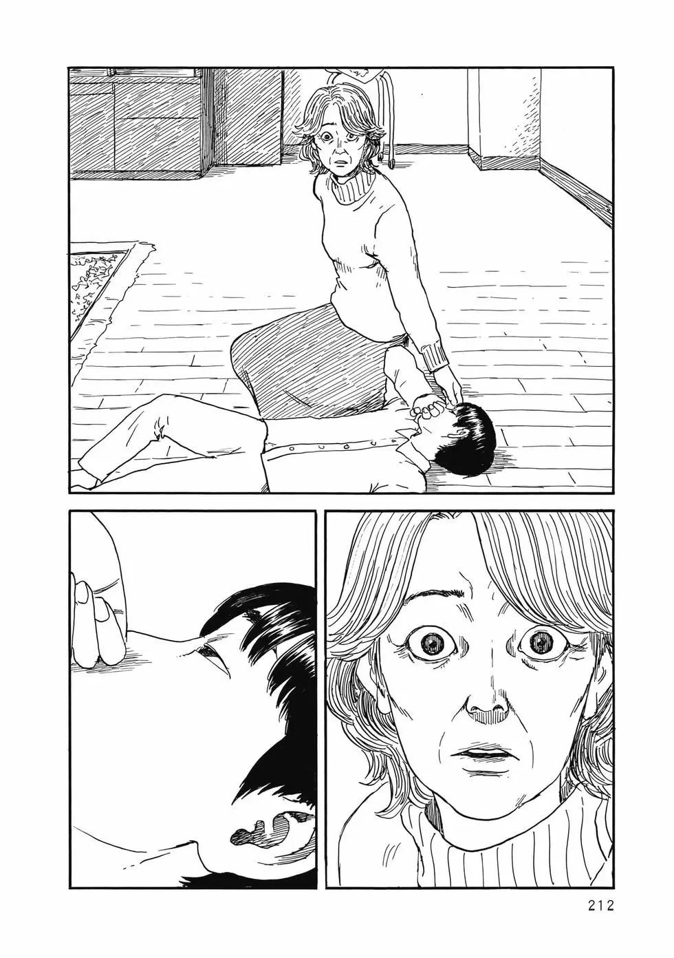 第 213 页