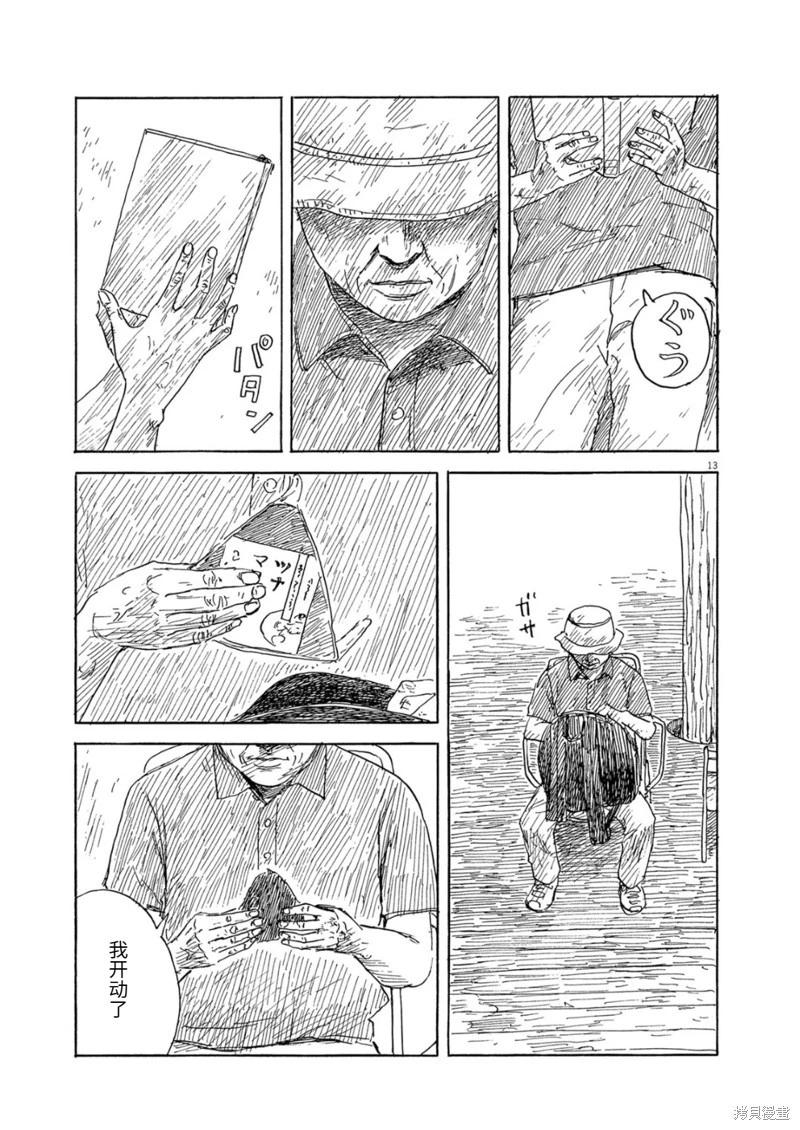 第 13 页
