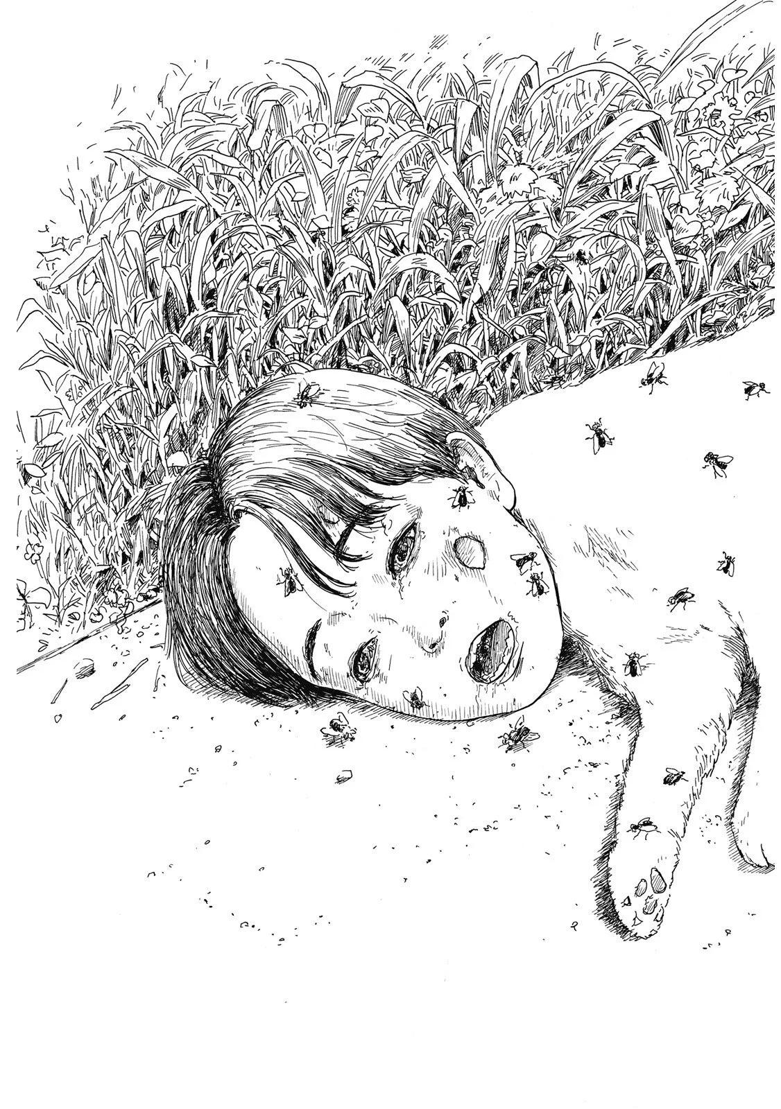 第 51 页