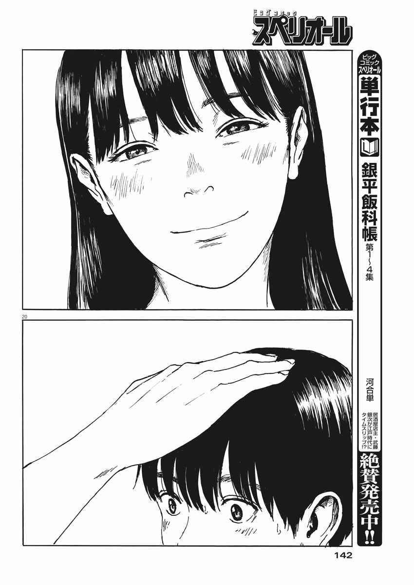 第 20 页
