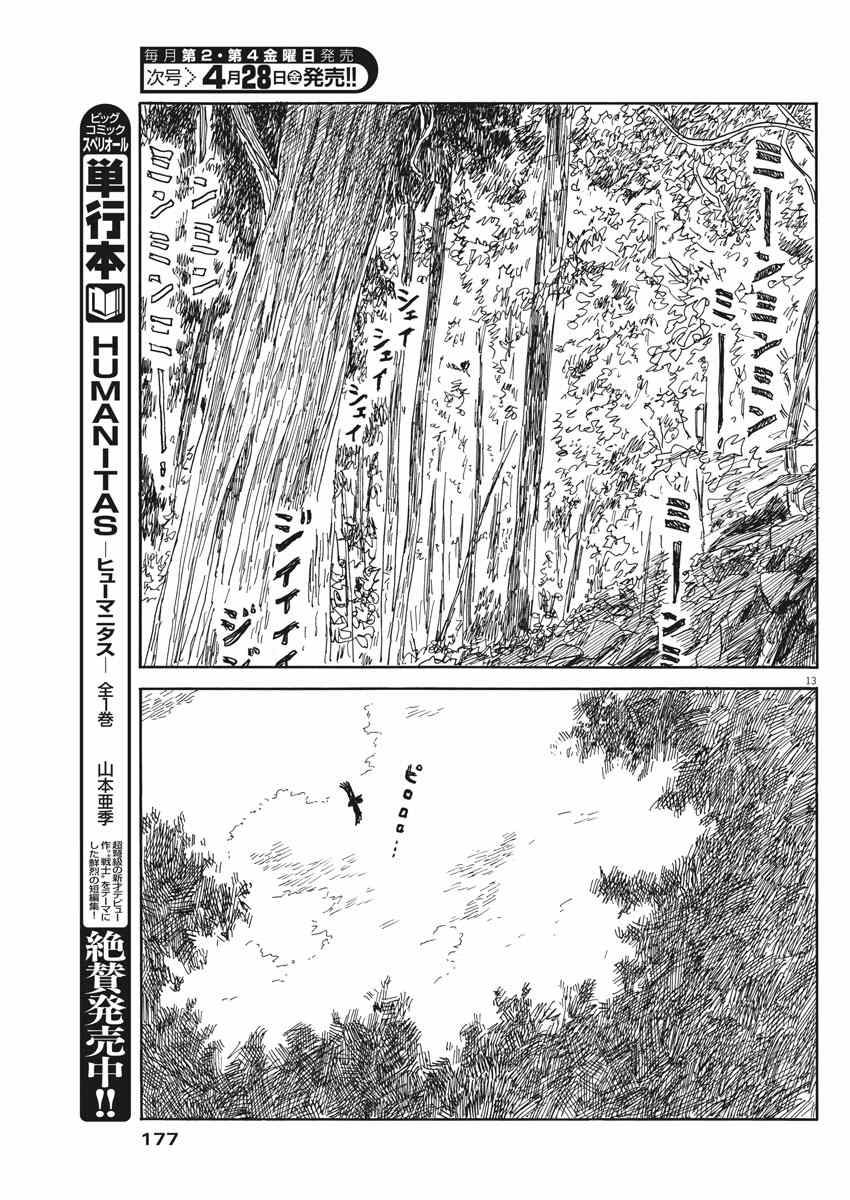 第 13 页