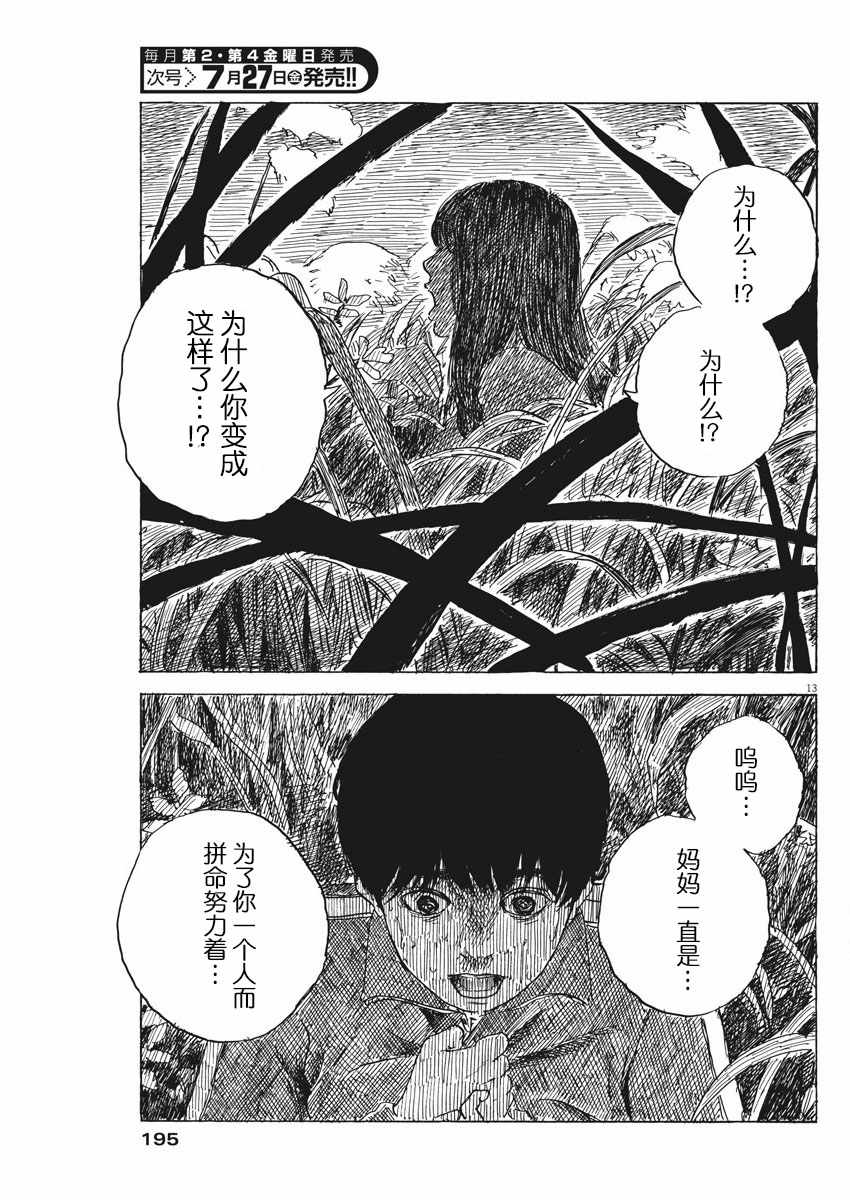 第 13 页