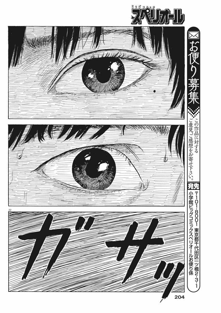 第 22 页
