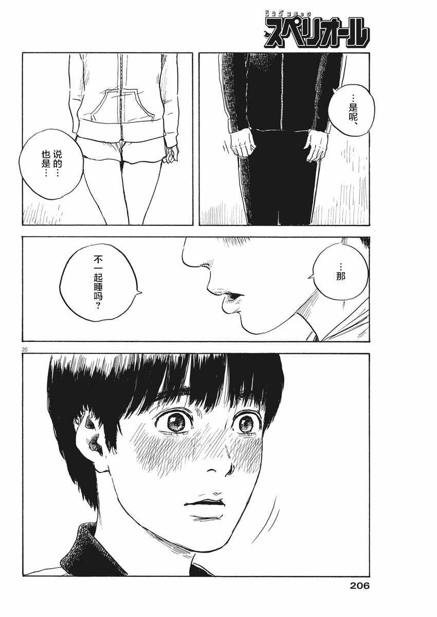 第 20 页