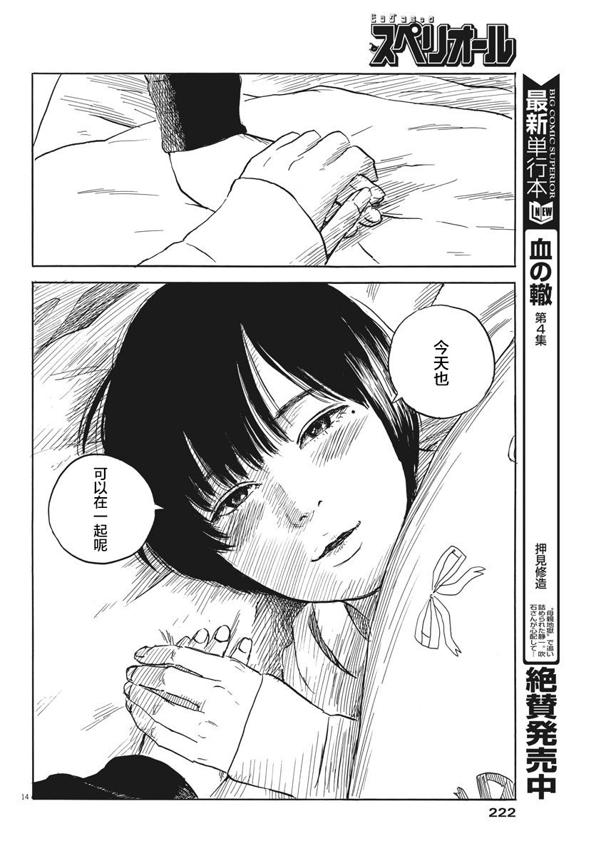 第 13 页