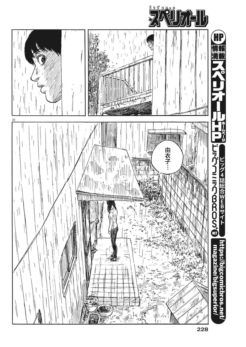 第 20 页