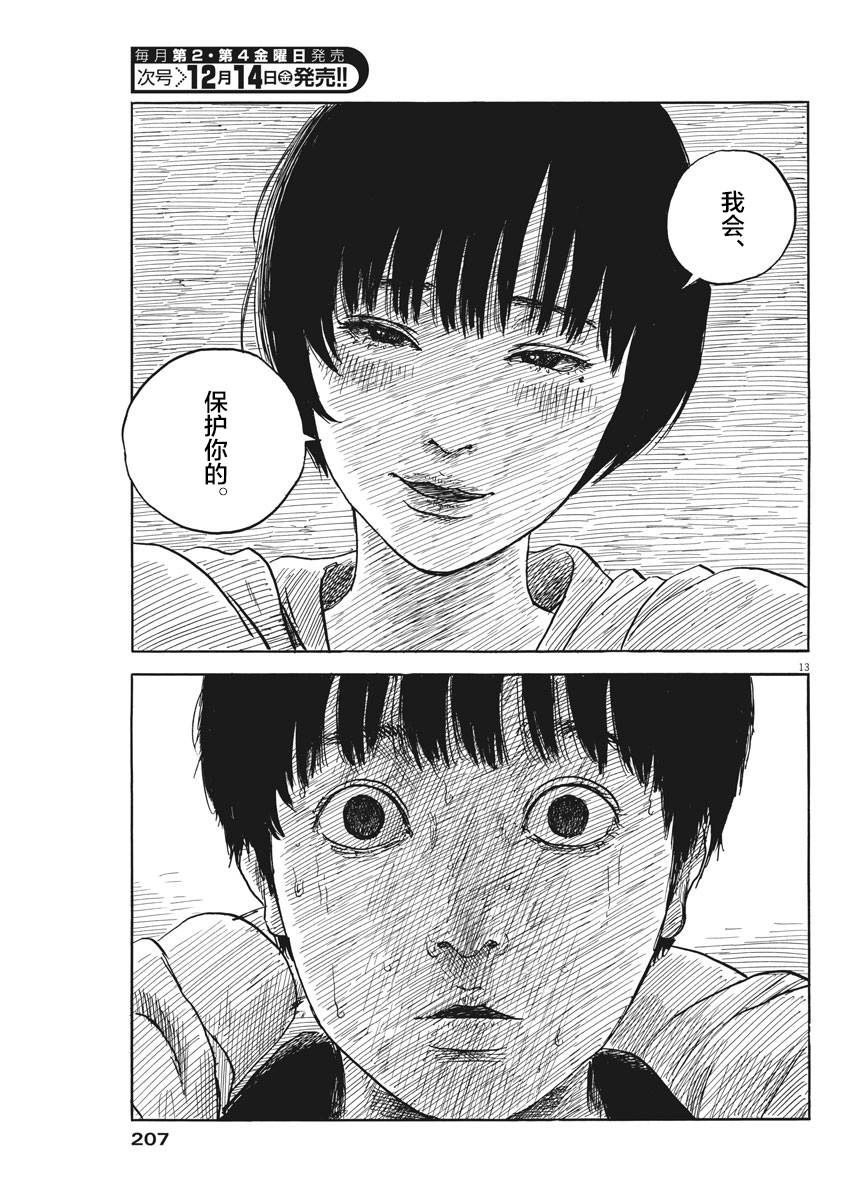 第 13 页