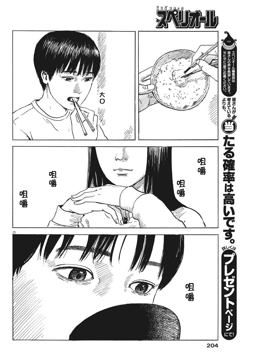 第 20 页