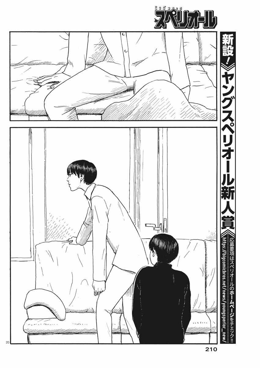 第 20 页