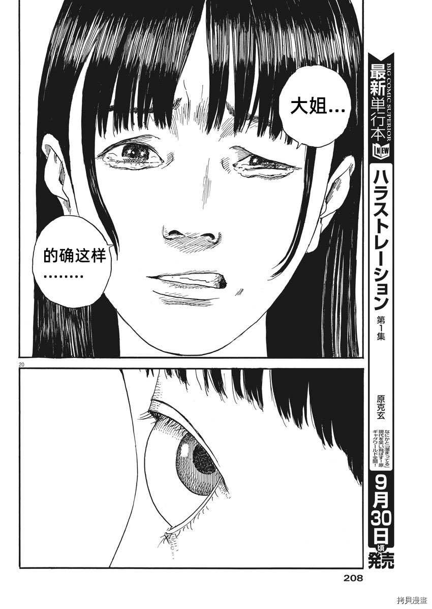 第 20 页