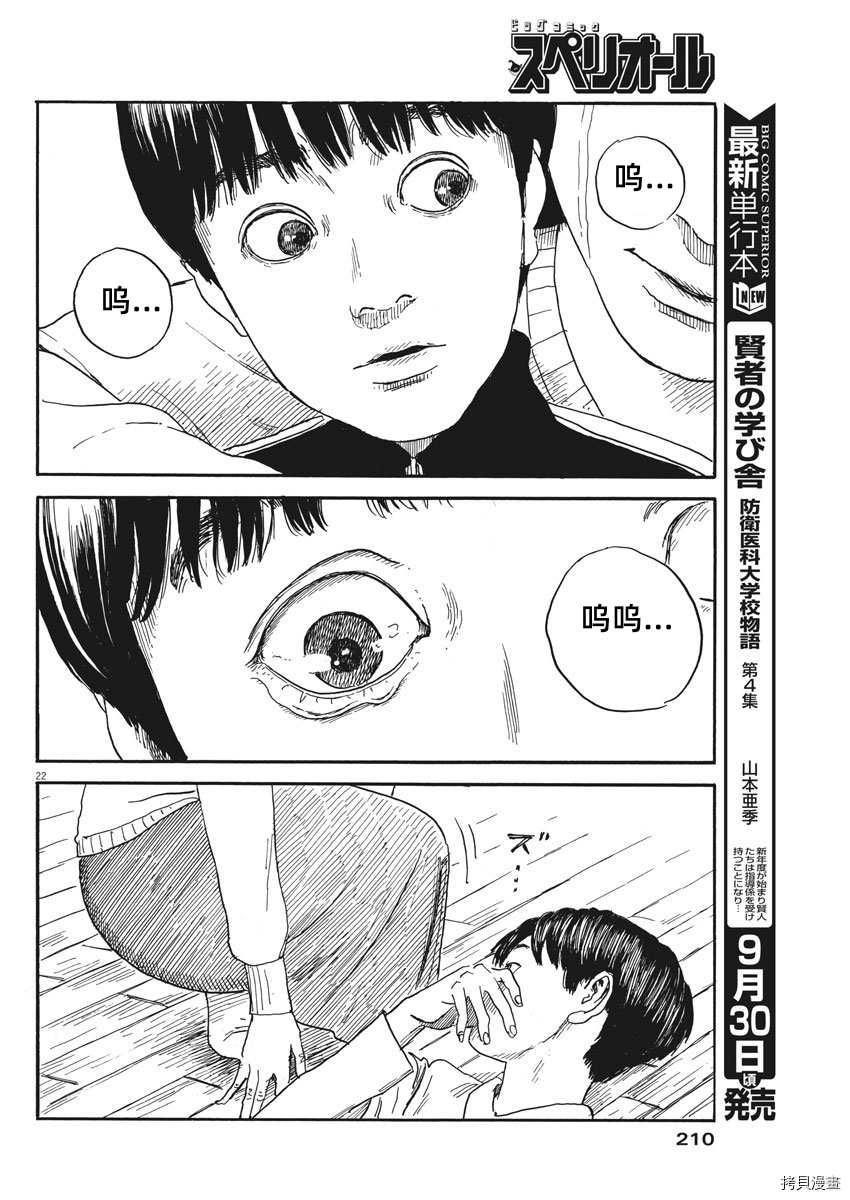 第 22 页