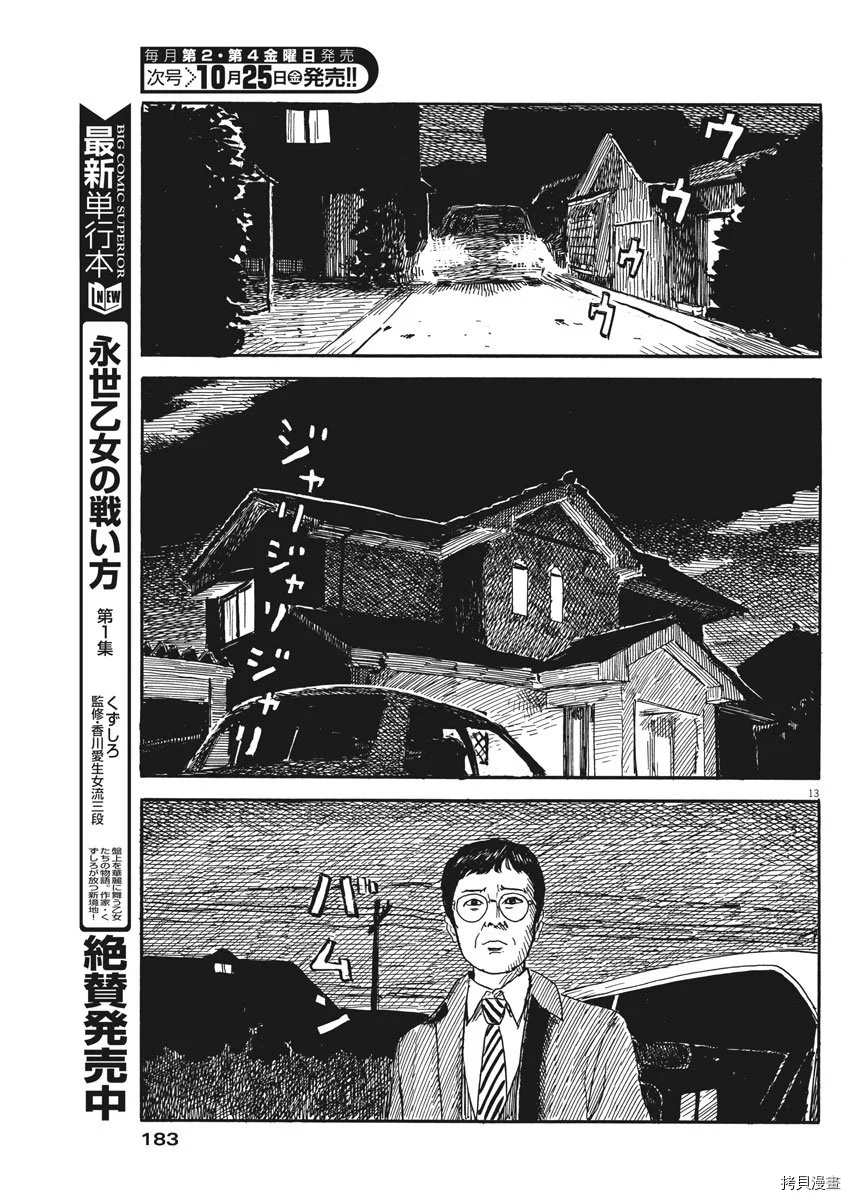 第 13 页