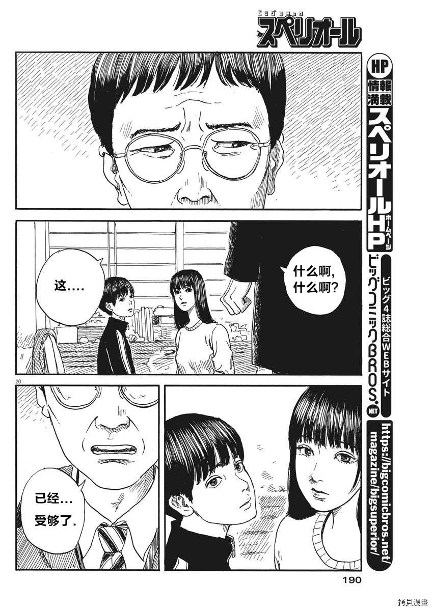 第 20 页