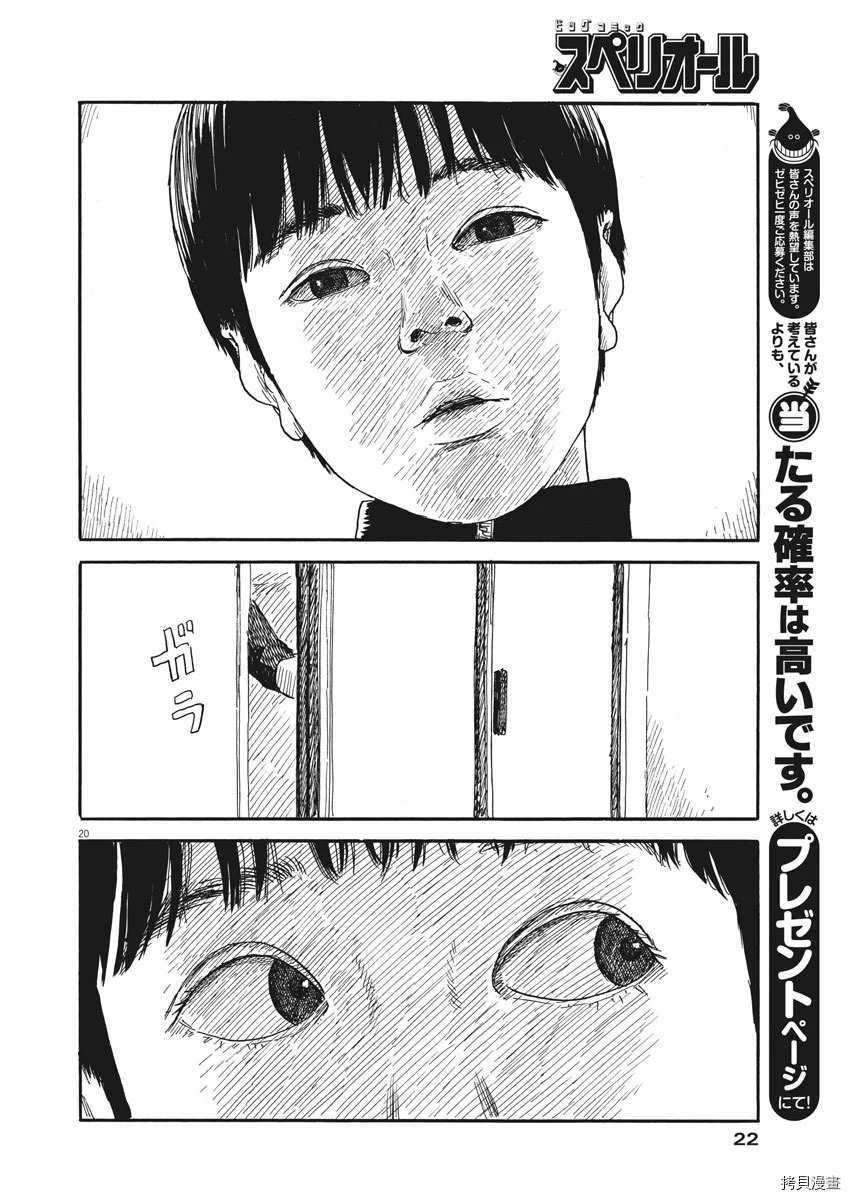 第 20 页