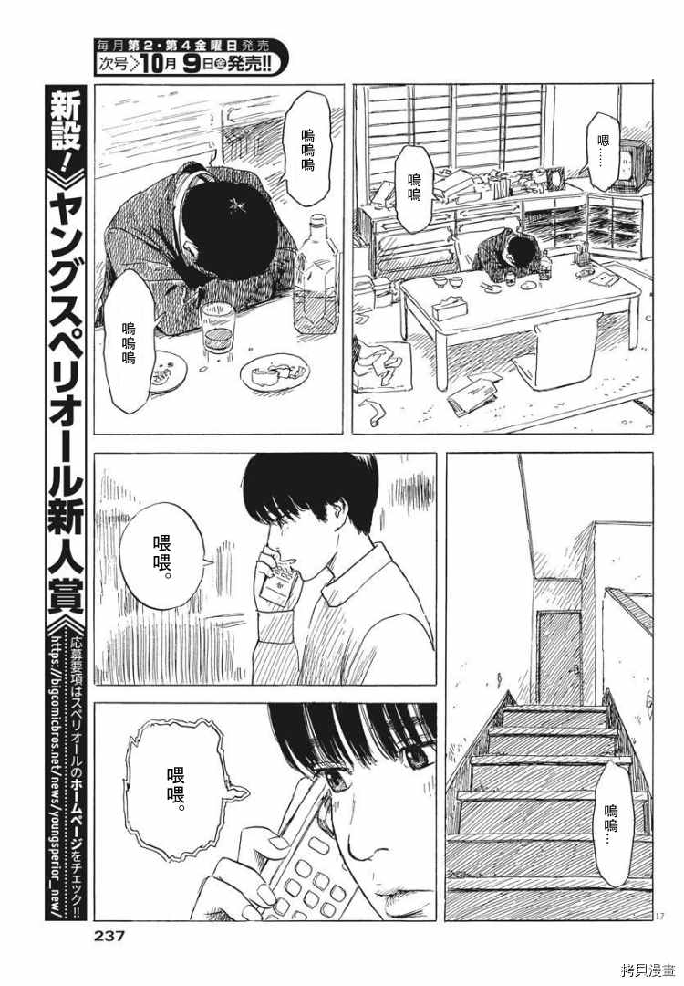 第 17 页