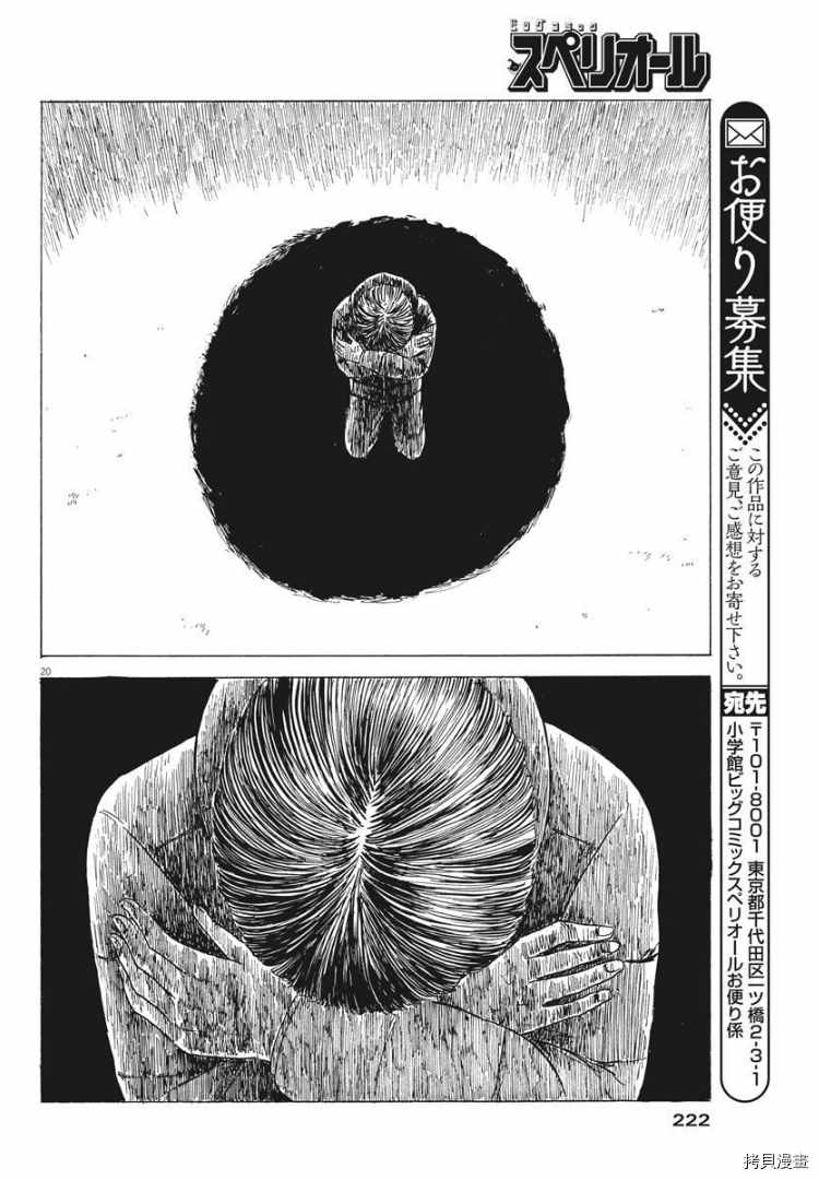 第 20 页