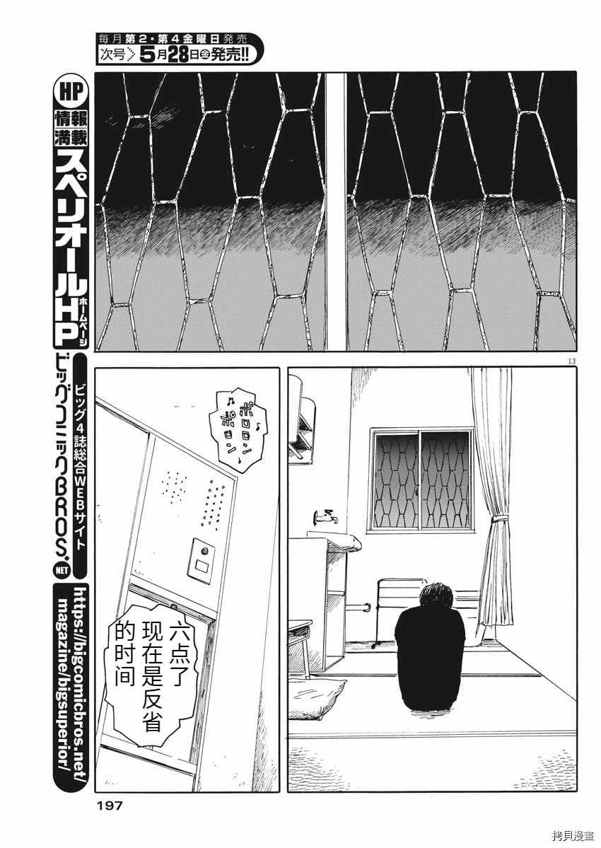 第 13 页