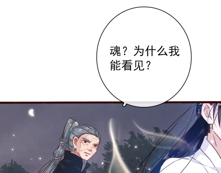 第 53 页